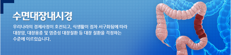 수면위내시경